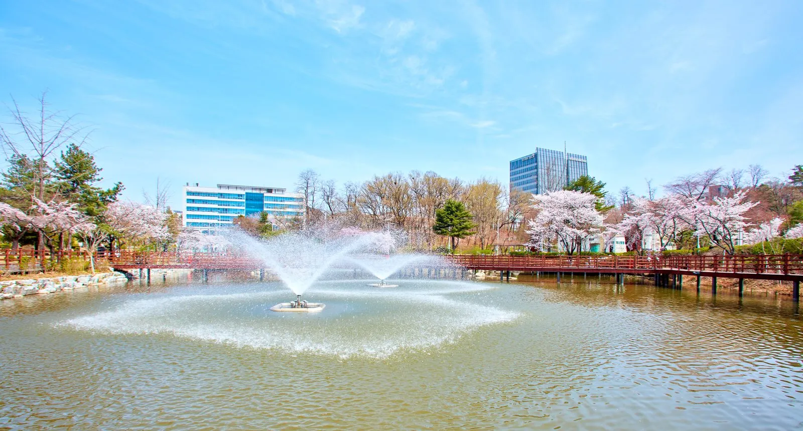 Khuôn viên Seoul National University of Science and Technology