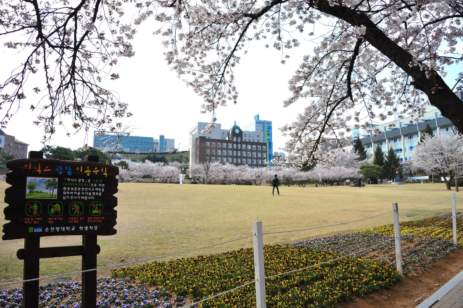 Khuôn viên Soonchunhyang University